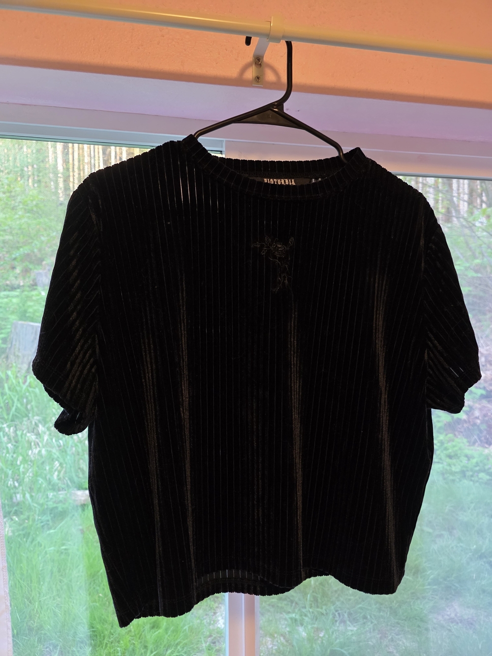 Disturbia Black Velvet Ribbed Crop Tee With Rose Detail